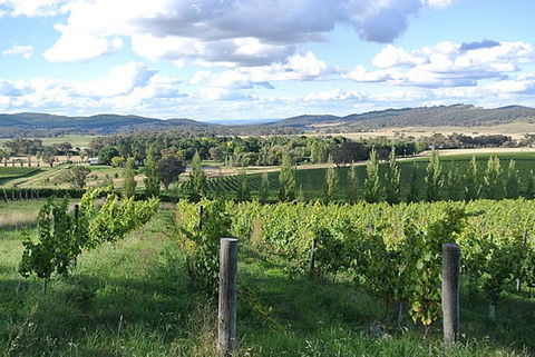 Sassy Wines - Accommodation Kalgoorlie 0