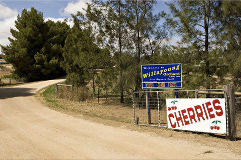 Willayoung Orchard - Accommodation Kalgoorlie 1