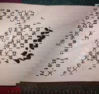 Bubba Pizza - Mount Barker - Accommodation Kalgoorlie