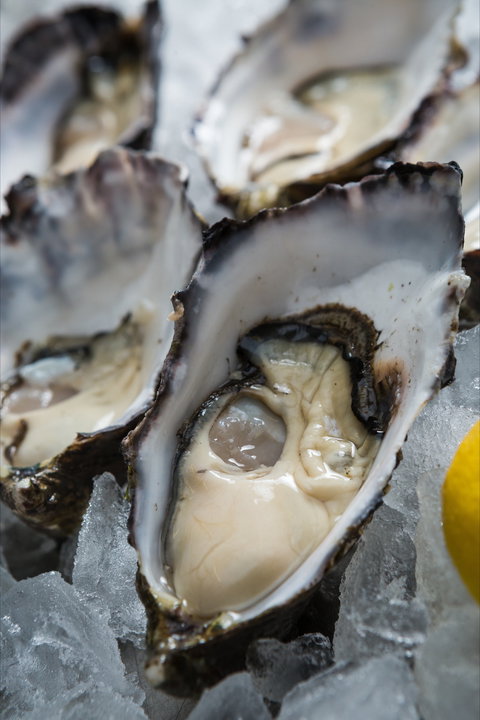 Lobster Shack Tasmania - Accommodation Kalgoorlie 1