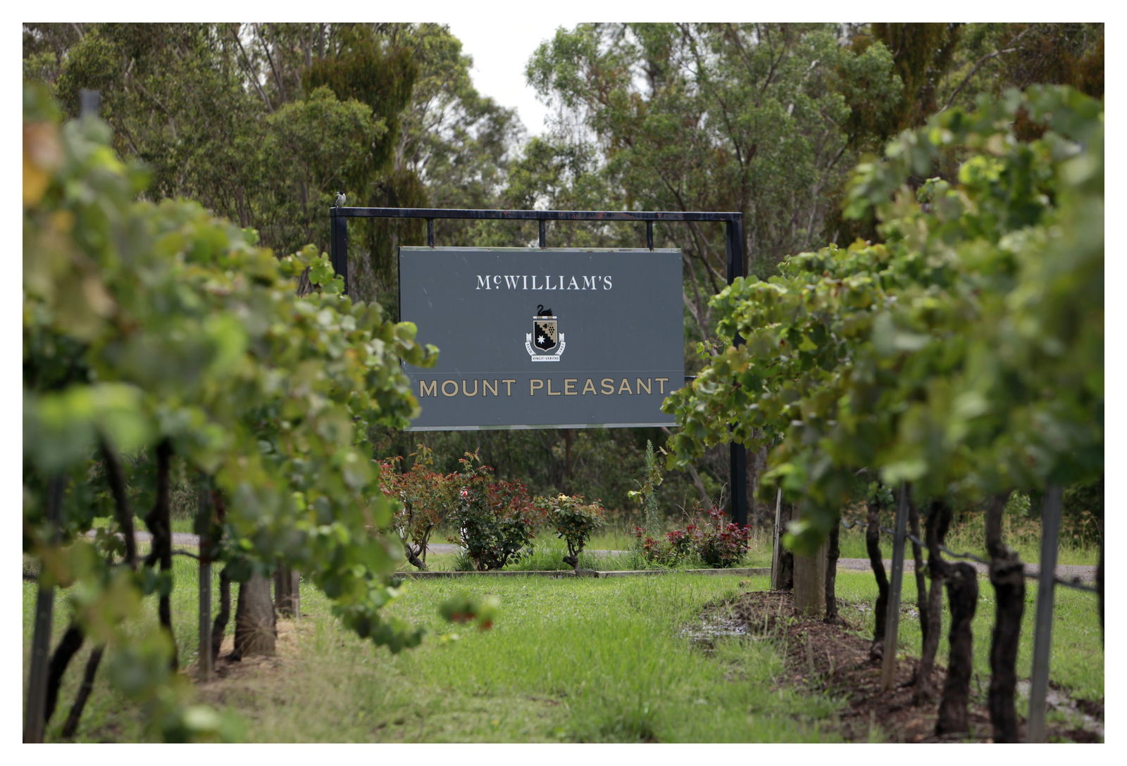 Pokolbin NSW Accommodation Kalgoorlie