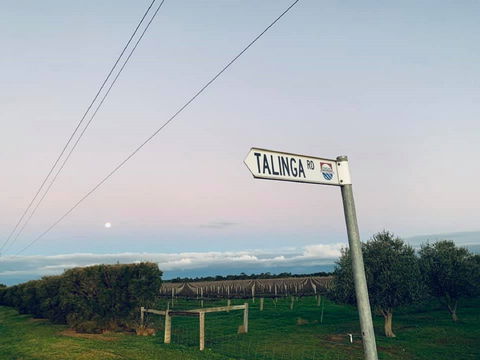 Talinga Grove - Accommodation Kalgoorlie 2
