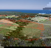 Wise Wine - Accommodation Kalgoorlie