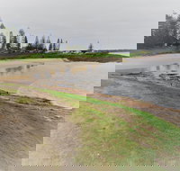 South West Rocks Country Club - Accommodation Kalgoorlie