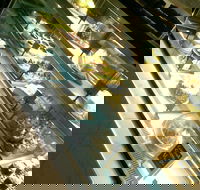 Gelateria Millefiori - Accommodation Kalgoorlie