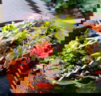 The Berry Farm Cottage Caf - Accommodation Kalgoorlie