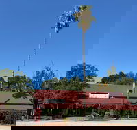 The Vine Hotel North Wangaratta - Accommodation Kalgoorlie