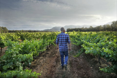 Thomas Wines - Accommodation Kalgoorlie 2