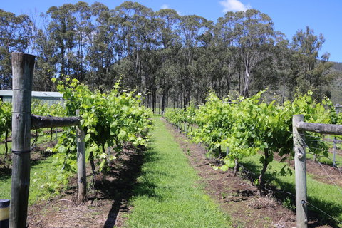 Woongooroo Estate Winery - Accommodation Kalgoorlie 0
