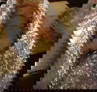 North Rocks Gourmet Pizza - Accommodation Kalgoorlie