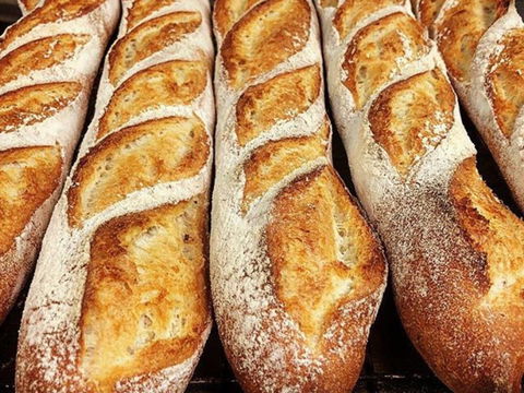 Rottnest Bakery - Accommodation Kalgoorlie 2