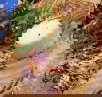 The Gardens Cafe - Accommodation Kalgoorlie