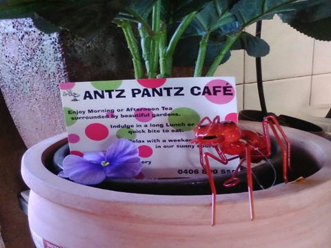 Antz Pantz Cafe - Accommodation Kalgoorlie 0