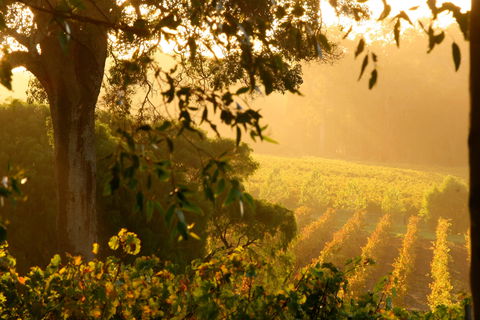 Deep Woods Estate - Accommodation Kalgoorlie 1