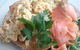 Capital Bistro - thumb 0