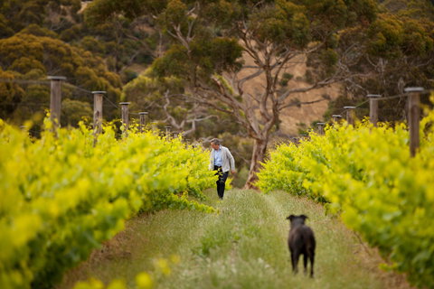 Islander Estate Vineyards - Accommodation Kalgoorlie 1