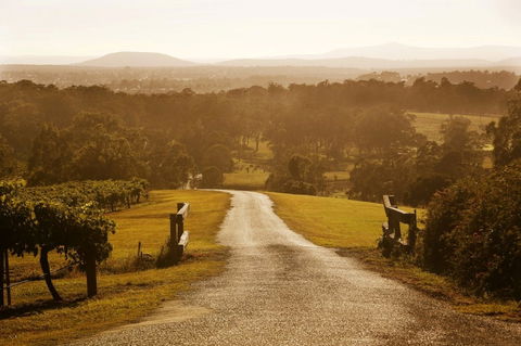 Petersons Wines - Accommodation Kalgoorlie 0