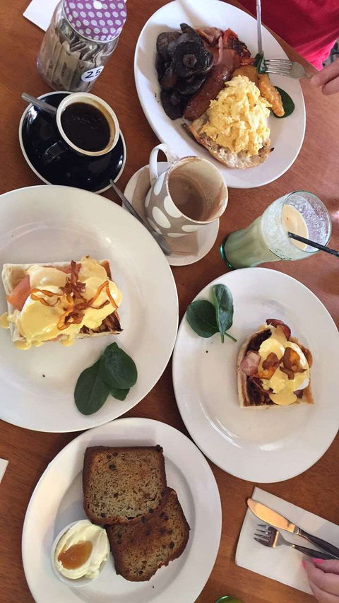 The Fig Tree - Accommodation Kalgoorlie 0