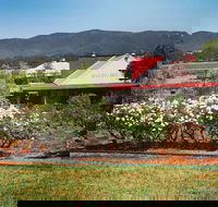 Hanging Tree Wines - Accommodation Kalgoorlie