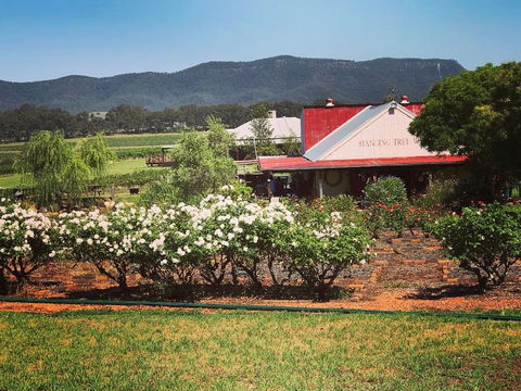 Hanging Tree Wines - Accommodation Kalgoorlie 0