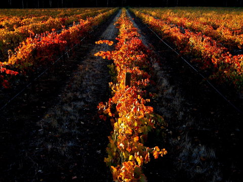 Sandhurst Ridge - Accommodation Kalgoorlie 0