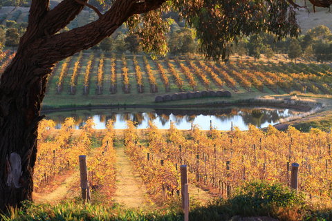 Sanguine Estate - Accommodation Kalgoorlie 0