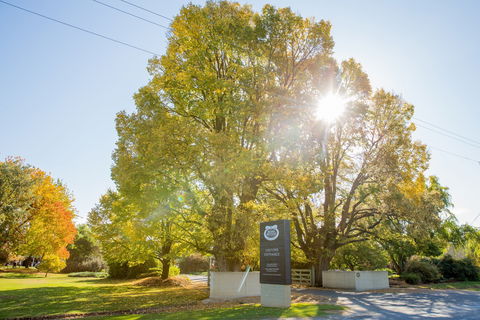 Brown Brothers Milawa Vineyard - Accommodation Kalgoorlie 0