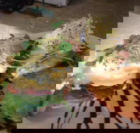 Cafe in the Mountains - Accommodation Kalgoorlie