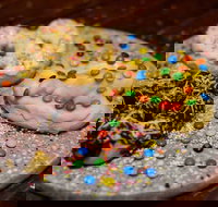 The Pretzel Shop - Accommodation Kalgoorlie