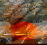 The Trail - Accommodation Kalgoorlie