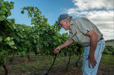 Vale Creek Wines - Accommodation Kalgoorlie 2