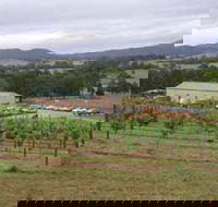 Villa d Esta Vineyard - Accommodation Kalgoorlie