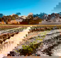 Synchronicity Farm - Accommodation Kalgoorlie