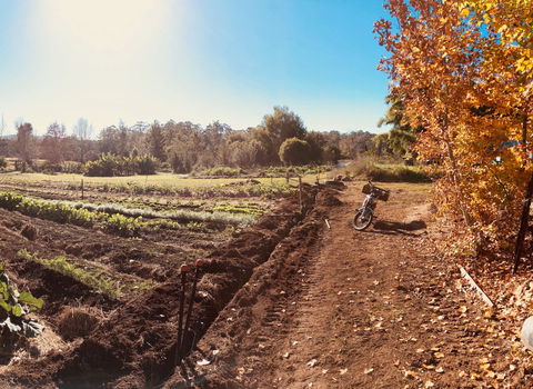 Synchronicity Farm - Accommodation Kalgoorlie 1