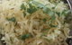 Al-Rayyan Indian Restaurant - Surry Hills - thumb 0