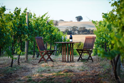 Indigo Vineyard - Accommodation Kalgoorlie 1