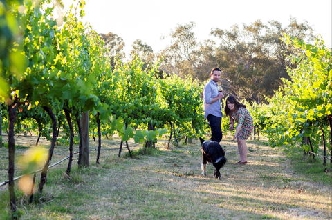 Indigo Vineyard - Accommodation Kalgoorlie 2