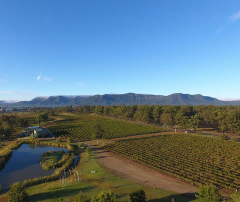 Mistletoe Winery - Accommodation Kalgoorlie 0