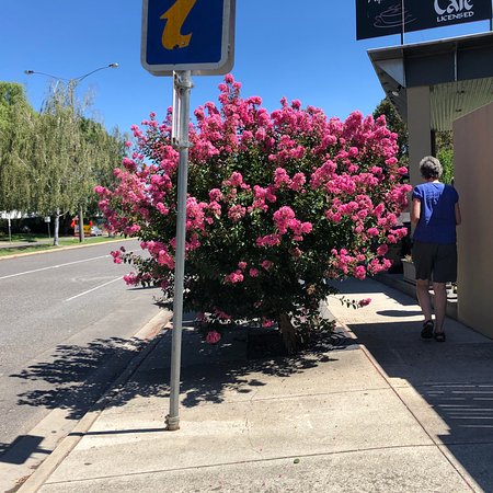 Alpine Gate Cafe - Accommodation Kalgoorlie 0