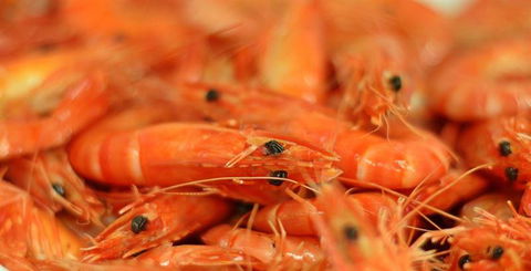 Wheelers Seafood Restaurant - Accommodation Kalgoorlie 27