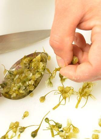 Twelve Stones - Accommodation Kalgoorlie 1