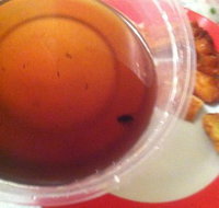 Labrador Chinese Restaurant - Accommodation Kalgoorlie