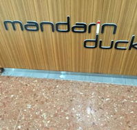 Mandarin Duck - Accommodation Kalgoorlie