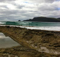 Bruny Island Berry Farm - Accommodation Kalgoorlie