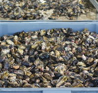 Lease 65 - Accommodation Kalgoorlie