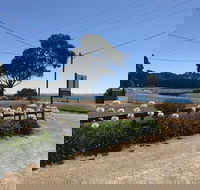 Penguin  Pardalote Coffee House - Accommodation Kalgoorlie