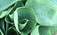 Villarett Gardens - thumb 3