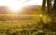 Sam Miranda King Valley - thumb 4
