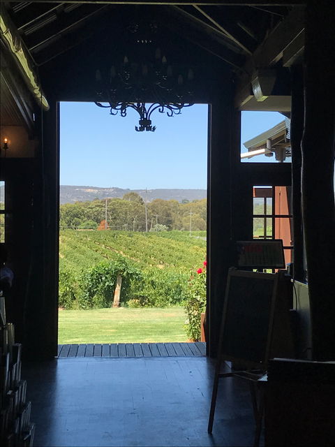 Black Swan Winery And Restaurant - Accommodation Kalgoorlie 4