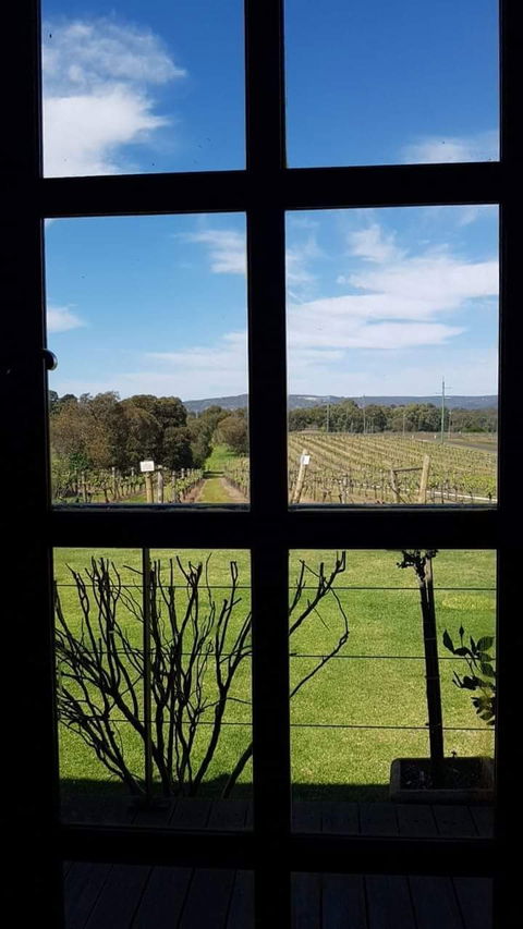 Black Swan Winery And Restaurant - Accommodation Kalgoorlie 5
